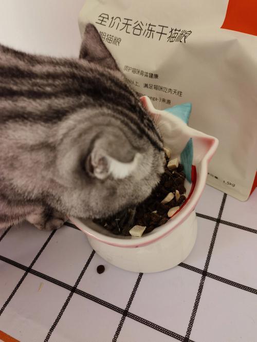 猫粮颗粒太大怎么弄碎