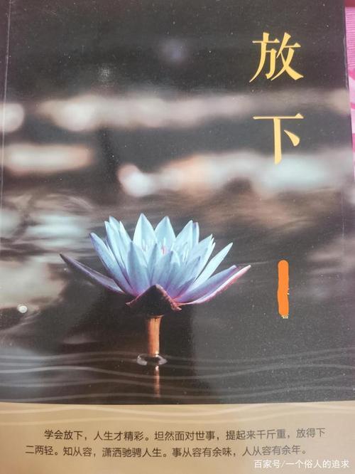 放下一个放不下的人要多久歌词