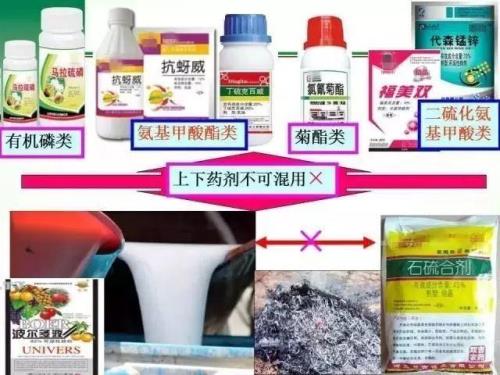 代森锰锌能杀小葱菌吗
