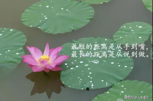 yy欢迎词简短精辟句子