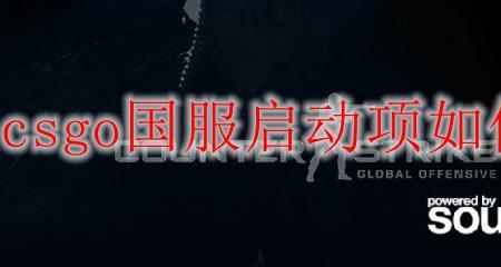 csgo启动项nojoy是什么