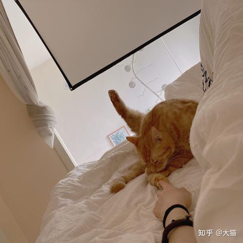 为什么我的被窝里都是屁臭味