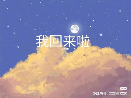 我回来了是什么歌
