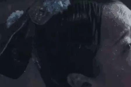 进忠公公第几集出场