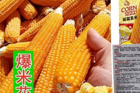 爆裂玉米的种子那里有卖
