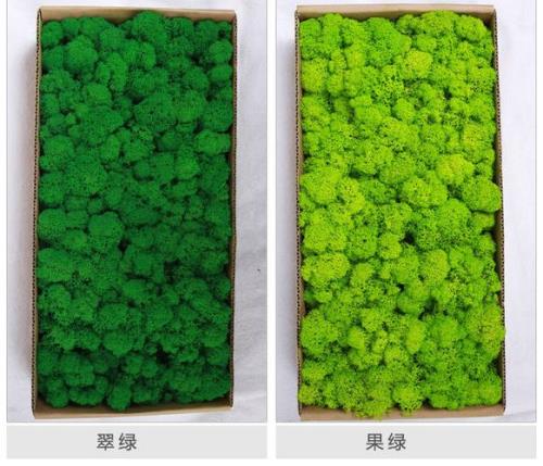 发光苔藓怎么获得