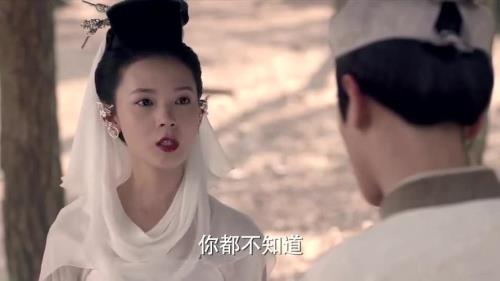 刘子固为什么没和阿绣在一起