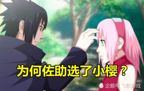 佐助为什么咬香磷