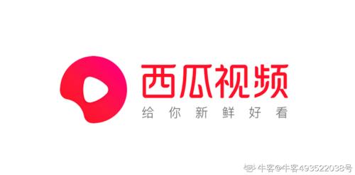 西瓜视频怎样手机直播播电视剧