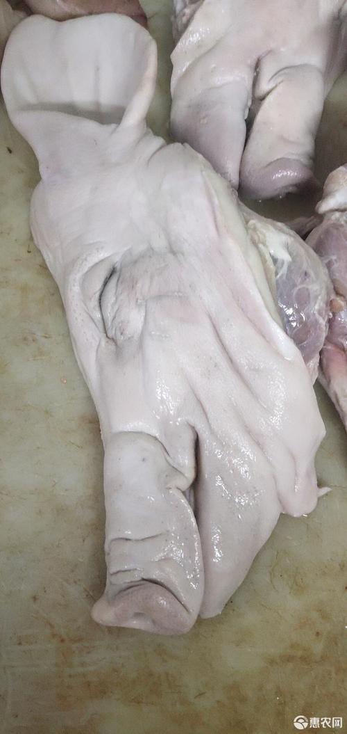 如何给猪头去毛