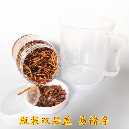 黄粉虫吃茶叶不