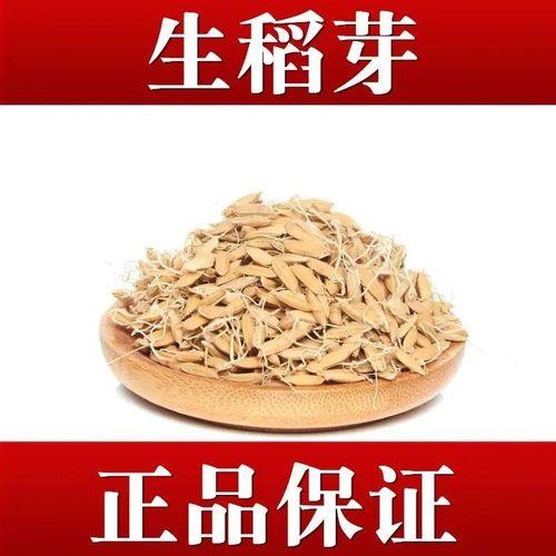 稻芽的小说有哪些