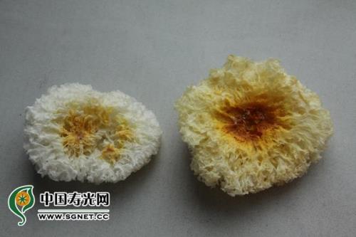 木耳怎么有黄白色的