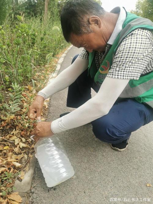 为什么有些树上没有雷种子