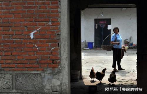 上门女婿艳阳为什么死