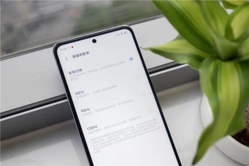 iqooz5为什么一直闪屏