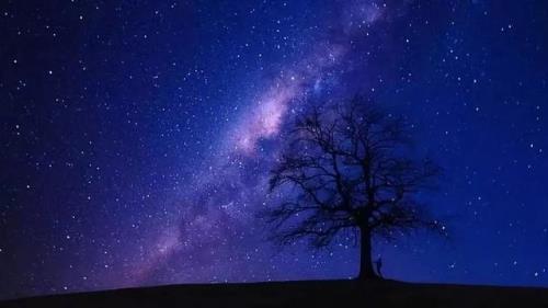 邀花月为客与星河对饮什么意思