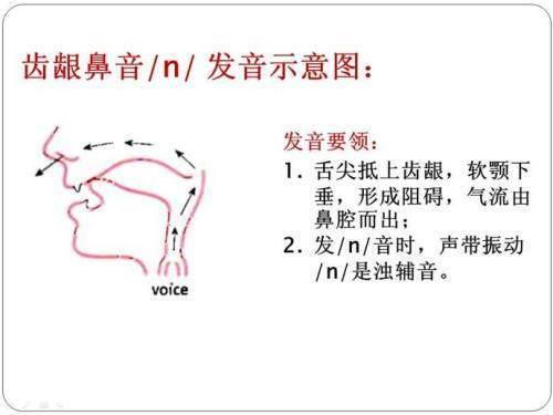 兰花发音有鼻音吗