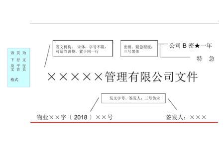 文件格式有哪些