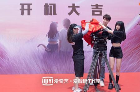 喵请许愿徐子豪谁演的