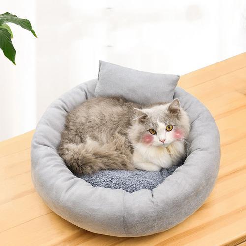 农村如何找到猫窝