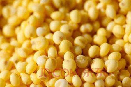 大黄米和小米的区别
