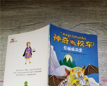 神奇校车桥梁版与图画版区别