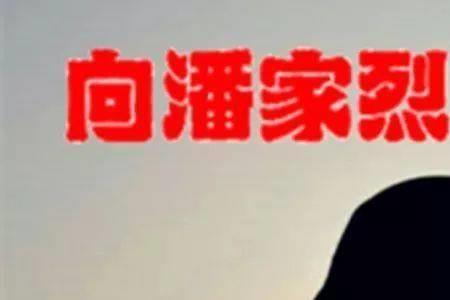 壮志未酬身先殇下联是