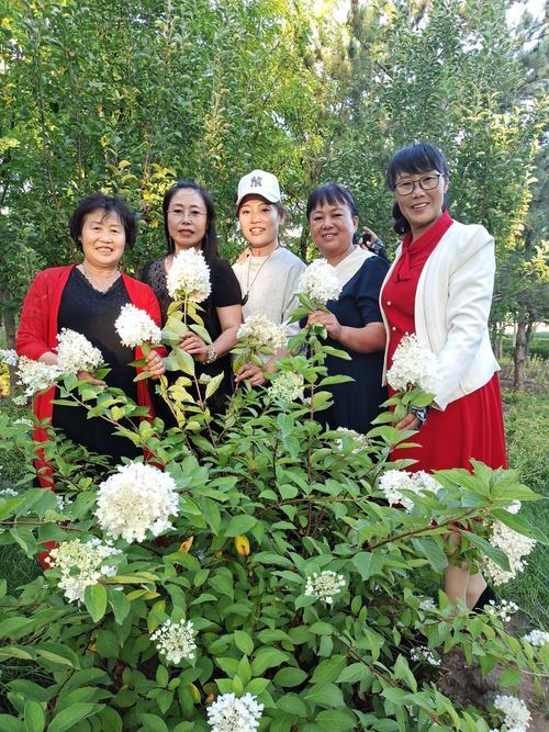 灿烂的季节哪里拍的