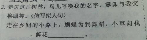 仿写森林的优美短句