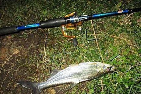 mh路亚竿5克铅头钩有触底感吗