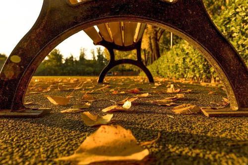 漫天落叶歌词含义