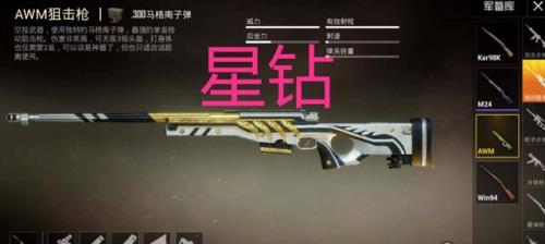 和平精英升级枪升到5级需要多少