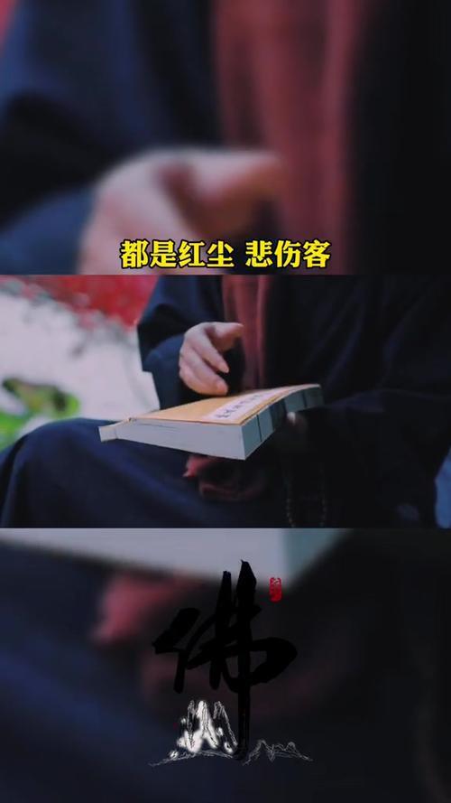 若知人间苦下一句是什么
