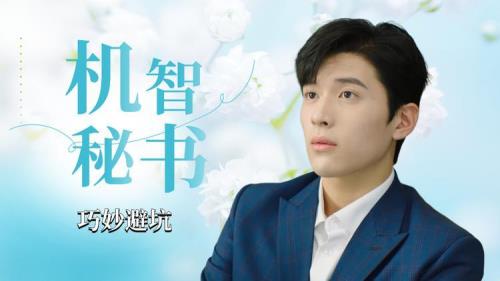 白秘书每天想辞职一共多少集