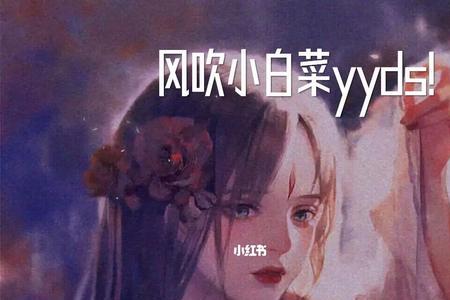 风吹小白菜哪部小说好看