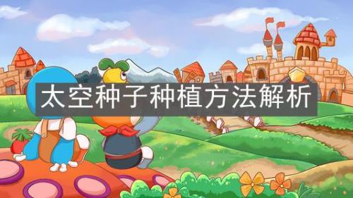 拼多多上买的种子怎么种植