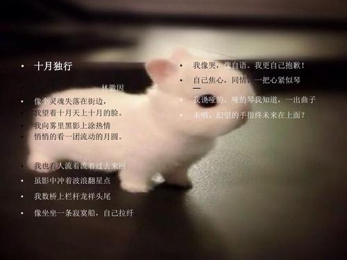 幻风经典语录