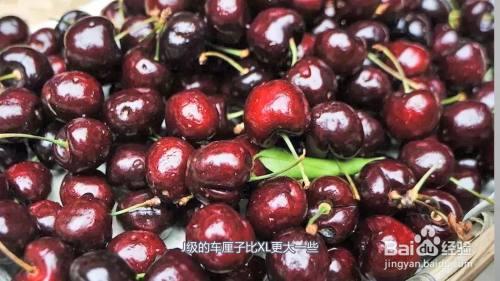 车厘子xld和xl什么意思