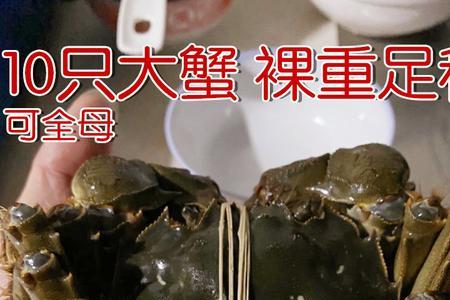 螃蟹三壳规格