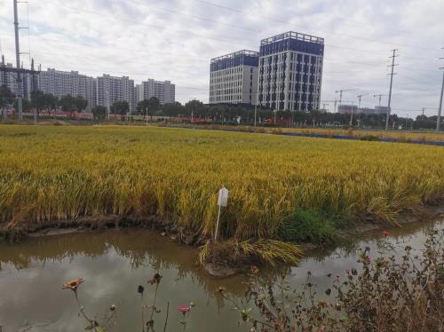 一万亩地周长多少公里