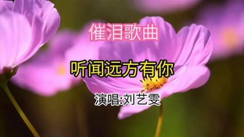 听见远方的你原唱是谁