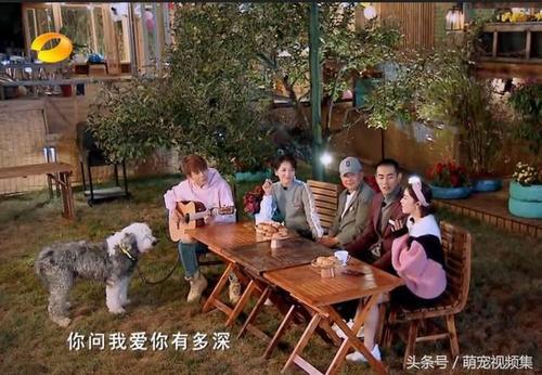 亲爱的客栈4什么时候播出
