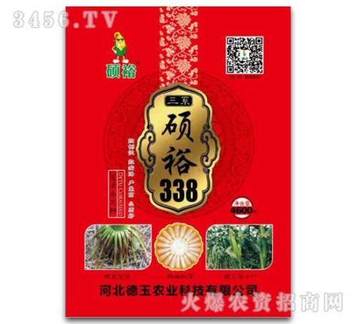 德玉123玉米种子