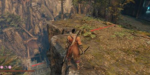 只狼收集到干鲜柿子之后干嘛