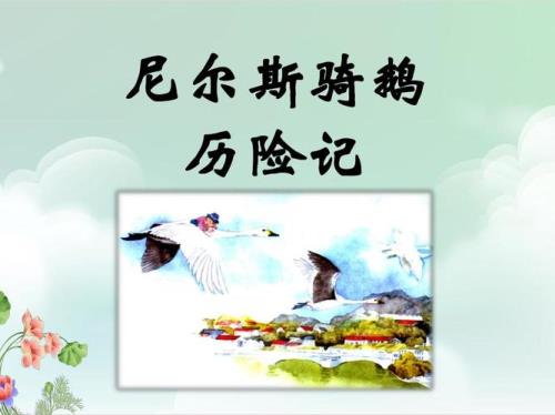 骑鹅历险记，后面还发生了什么