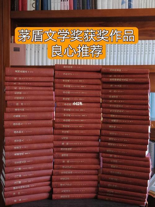茅盾文学奖获奖小说网站