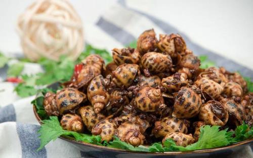 小海螺正确吃法