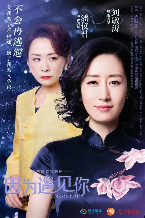 因为遇见你几几年上映的