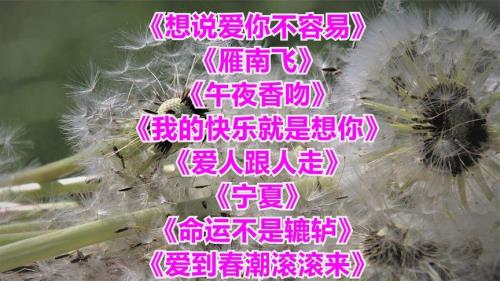 歌曲想说爱你不容易原唱者